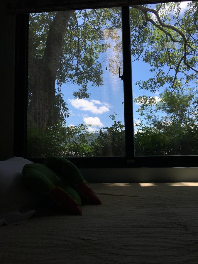 麵包樹舍 Breadfruit B&B Guangfu Luaran gambar